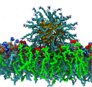 Gold-NP-on-membrane